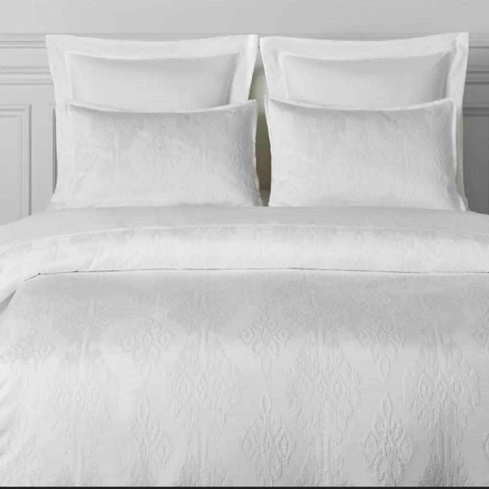 Williams Sonoma Home Ikat Embroidered Euro Sham